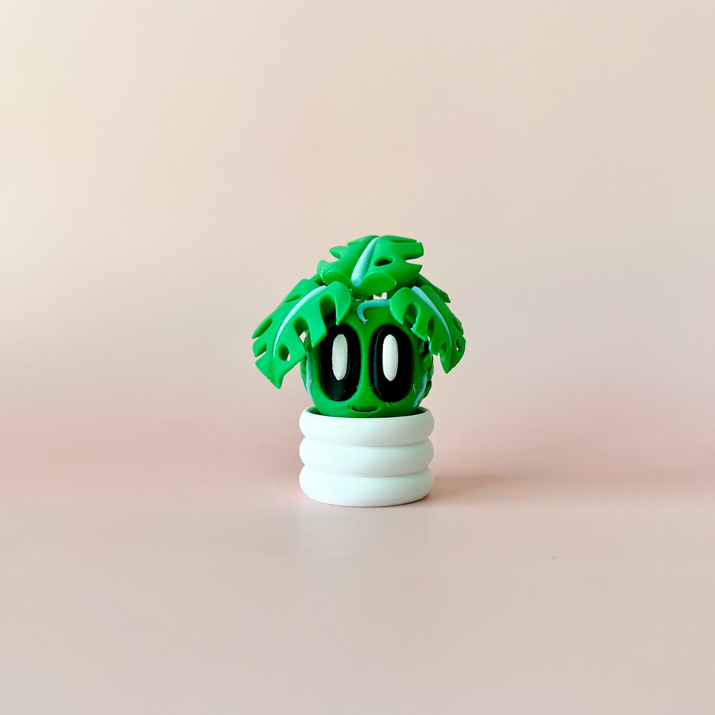 Monstera Blob Plant