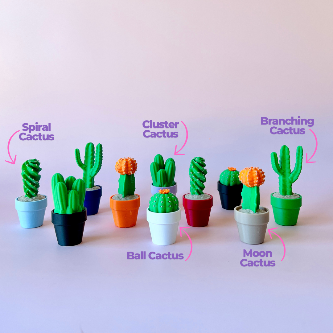 Colorful miniature cacti in various pots, showcasing unique shapes like spiral and ball, against a soft pastel background.