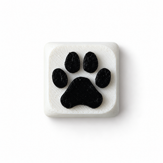 Paw White & Black