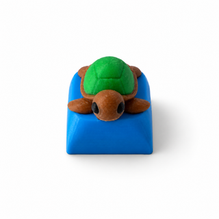 3D Turtle