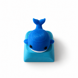 3D Whale