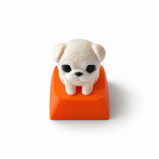 3D Pug