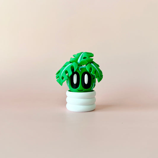 Monstera Blob Plant