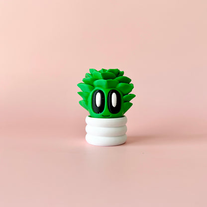 Succulent Blob Plant