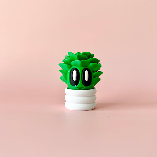 Succulent Blob Plant