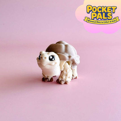 Mini African Spur Thighed Tortoise