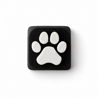 Paw Black & White