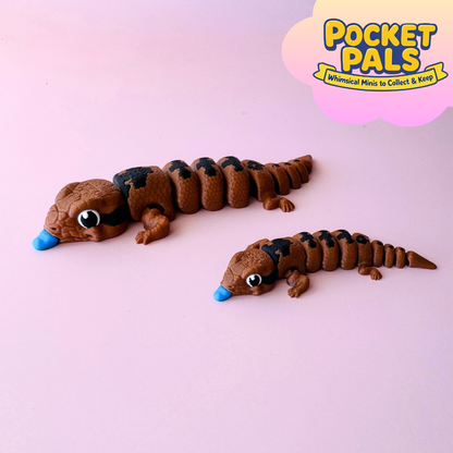 Blue Tounge Lizard Mini