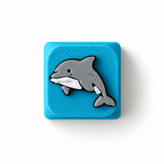 Dolphin Blue
