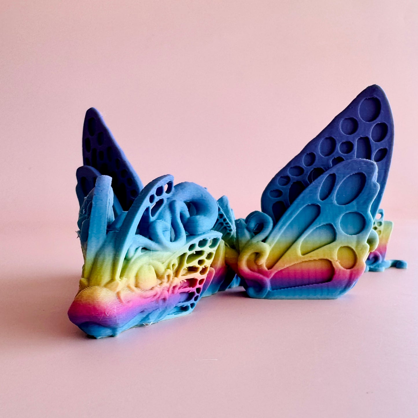 Butterfly Dragon Tadling