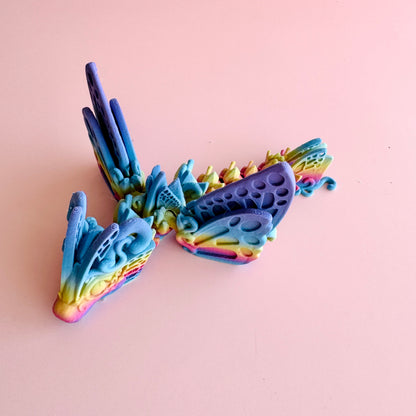 Butterfly Dragon Tadling