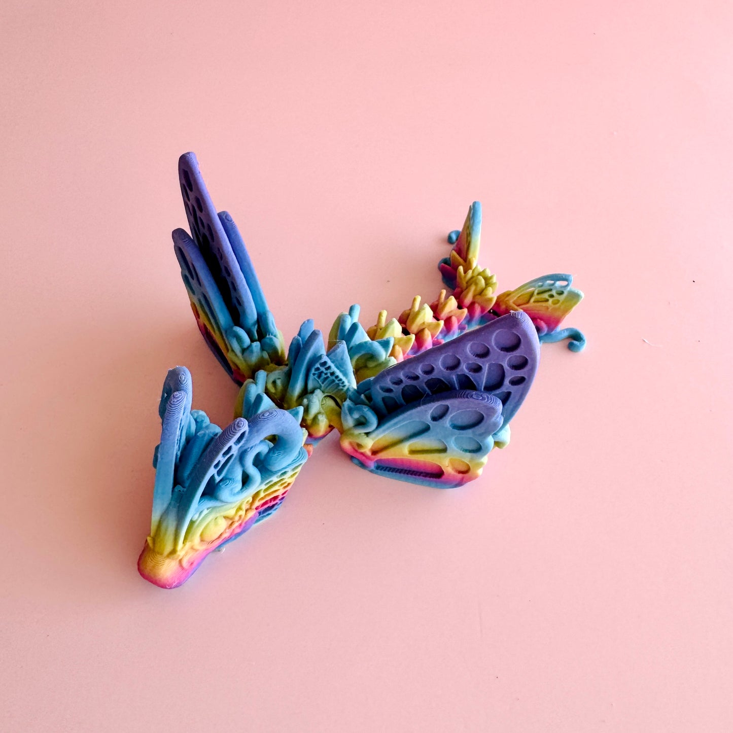 Butterfly Dragon Tadling