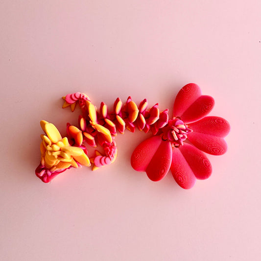 Clover Dragon Tadling