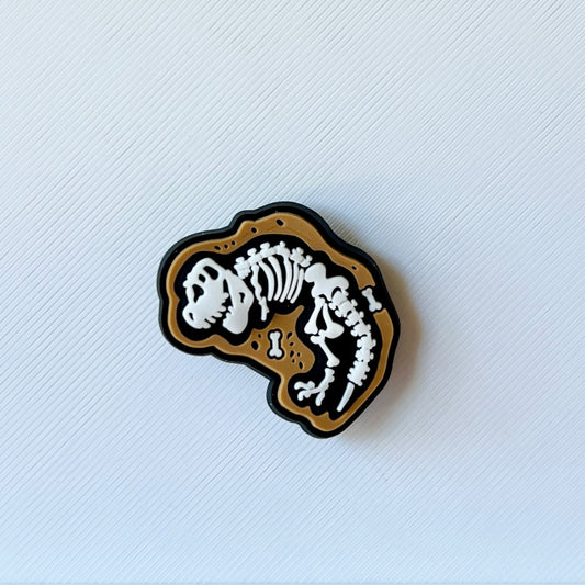 A playful illustration of a dinosaur skeleton against a textured white background.
