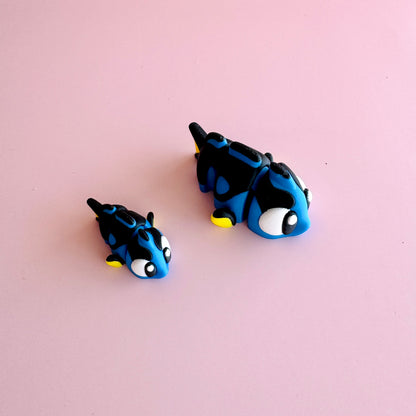 Mini Surgeonfish