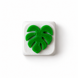 Monstera Leaf White & Green