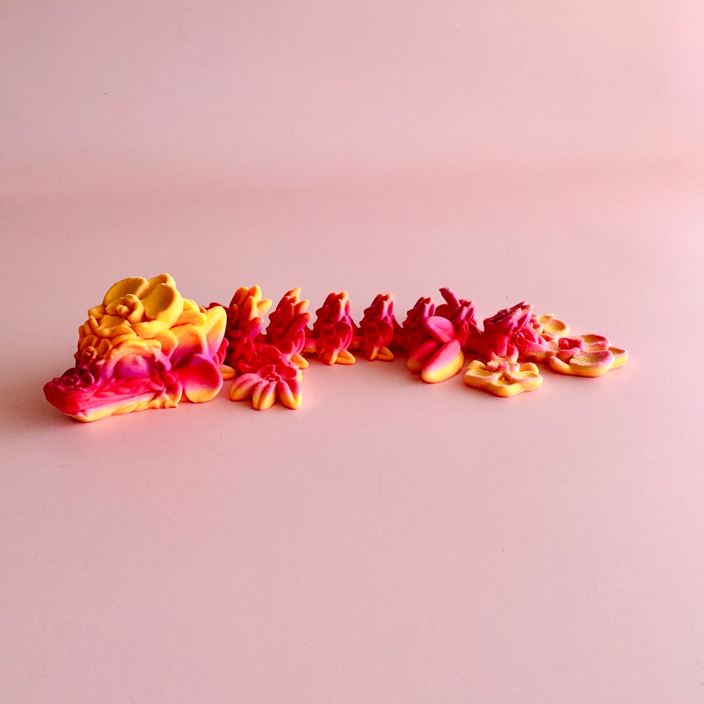 Orchid Dragon Tadling