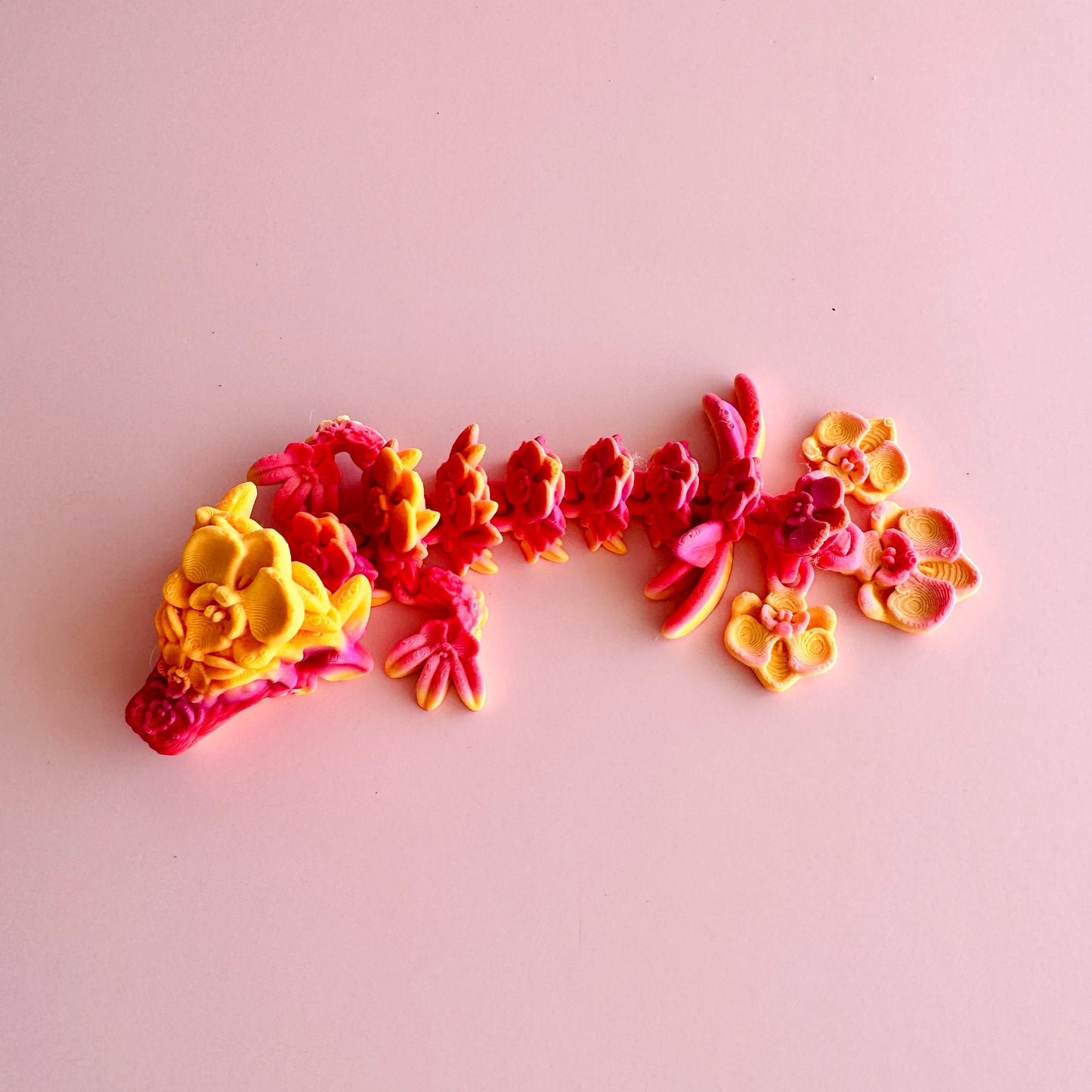 Orchid Dragon Tadling