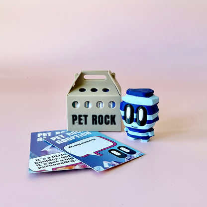 A playful blue and white striped figure with glasses beside a light brown box labeled “PET ROCK” and colorful cards.