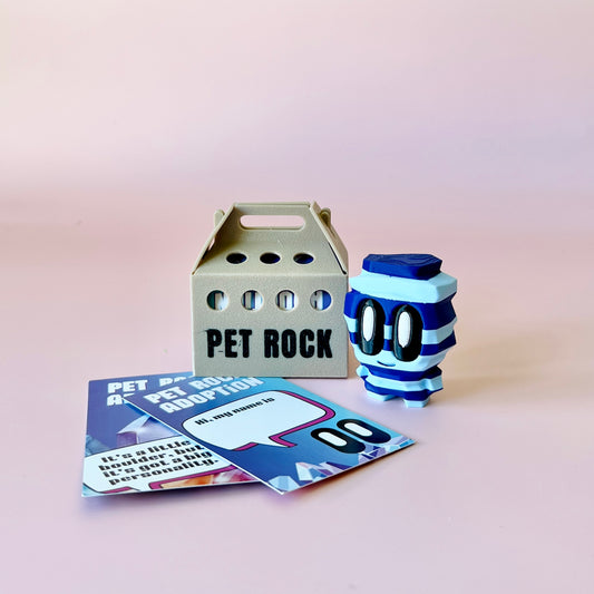 A playful blue and white striped figure with glasses beside a light brown box labeled “PET ROCK” and colorful cards.