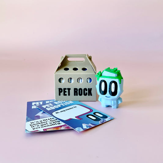 A pastel blue figure with big eyes and green hair beside a small carrier labeled "PET ROCK" and colorful adoption cards.