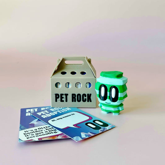 A whimsical green layered figure with large eyes beside a "PET ROCK" carrier and colorful adoption cards on a soft backdrop.