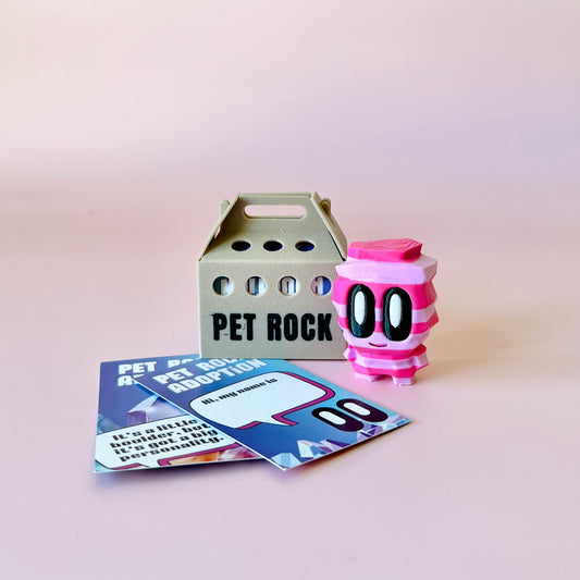 A whimsical pink character with big eyes next to a carton labeled "PET ROCK" and colorful adoption cards on a pastel backgrou