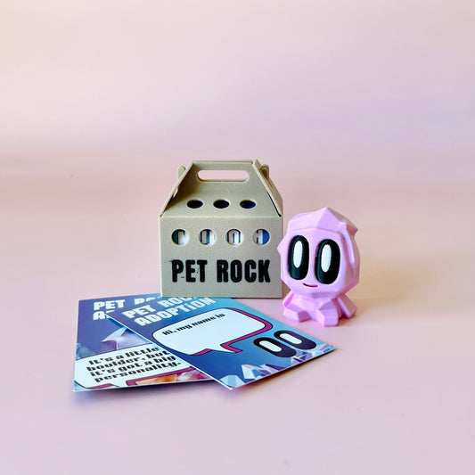 A playful pink figure with large eyes beside a box labeled "PET ROCK" and colorful adoption cards on a soft backdrop.