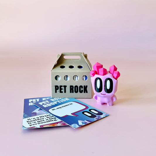 A playful pink character with crystal-like features beside a beige box labeled "PET ROCK" and colorful adoption cards.