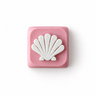 Scallop Shell Pink & White