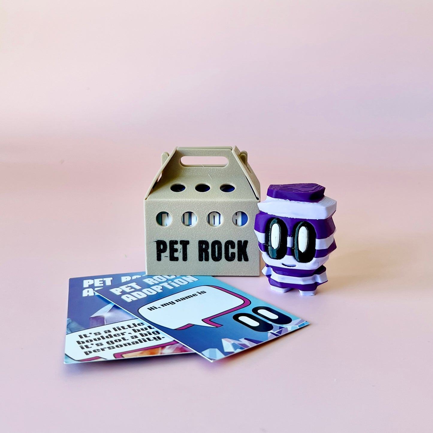A whimsical purple-striped figure beside a beige carrier labeled "PET ROCK" and colorful adoption cards on a pink backdrop.