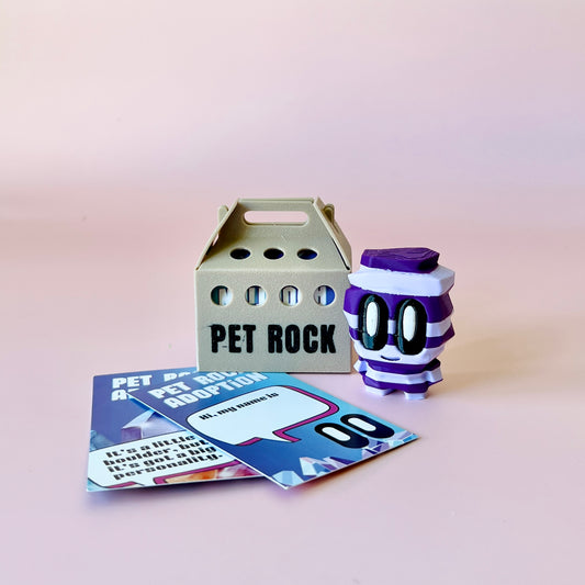 A whimsical purple-striped figure beside a beige carrier labeled "PET ROCK" and colorful adoption cards on a pink backdrop.