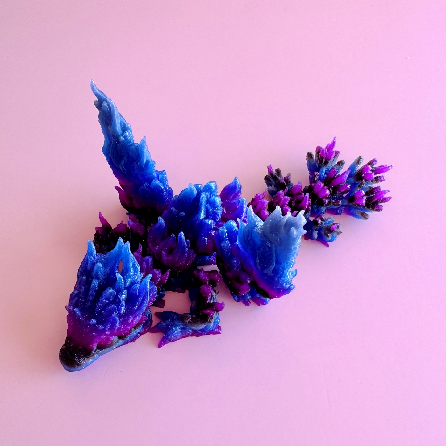 Phoenix Dragon Tadling