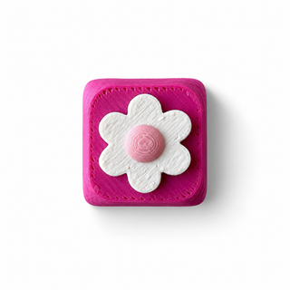 Daisy Pink & White