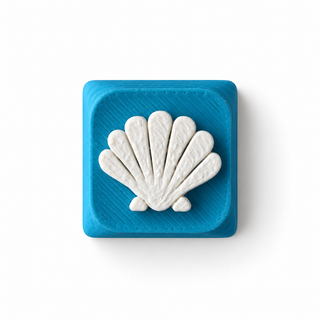 Scallop Shell Blue & White