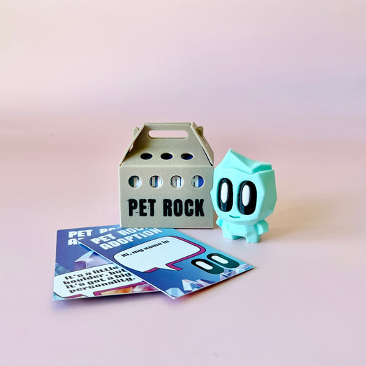A pastel green character stands beside a cardboard carrier labeled "PET ROCK" and colorful adoption cards on a pink backgroun