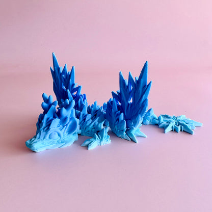 Winter Wing Dragon Tadling