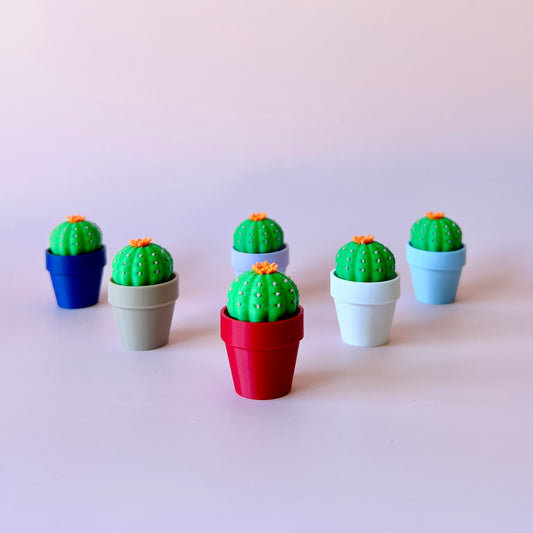 Colorful cacti with vibrant flowers nestled in assorted pots against a soft pastel backdrop.