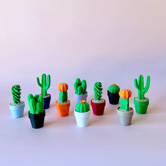 A variety of colorful miniature cacti in pots, showcasing unique shapes and vibrant colors against a soft background.