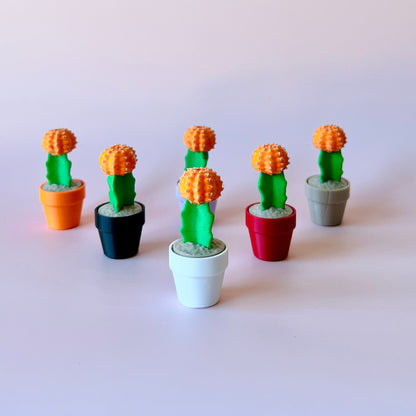 Moon Cactus Clicker Plant