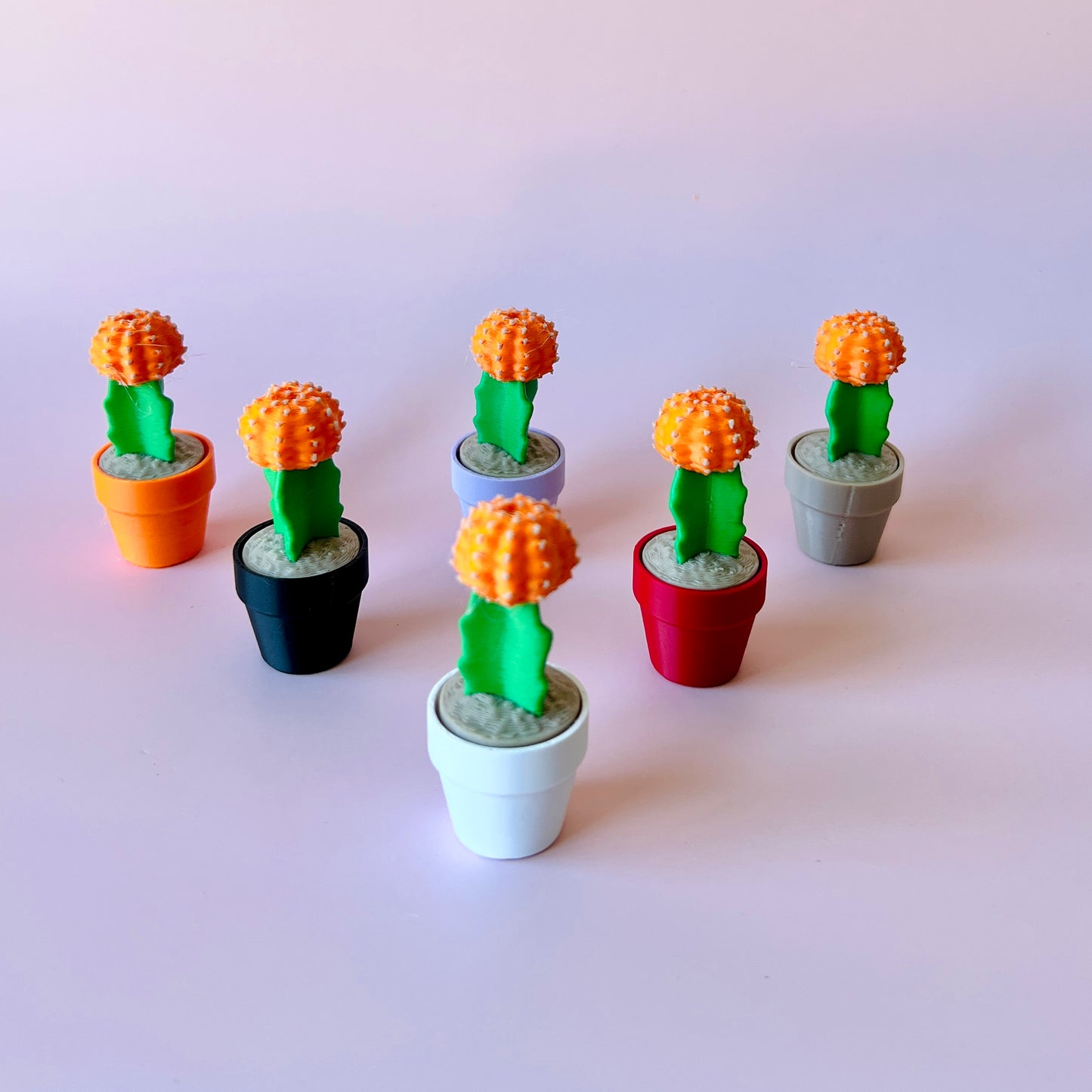 Moon Cactus Clicker Plant