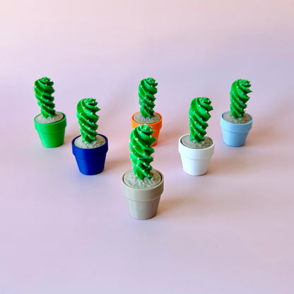 Colorful spiral plants in various pots against a soft pink background, creating a playful and vibrant display.