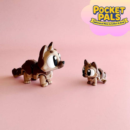 Mini German Shepherd