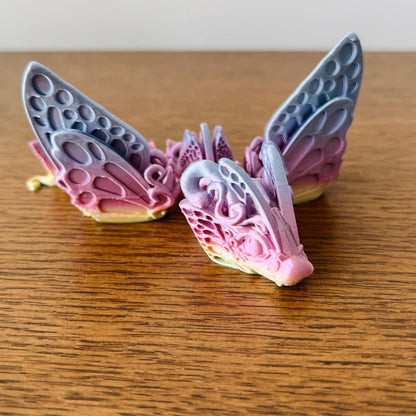 Delicate Butterfly Dragon Tadling with intricate, colorful wings resting on a wooden surface, showcasing whimsical charm.