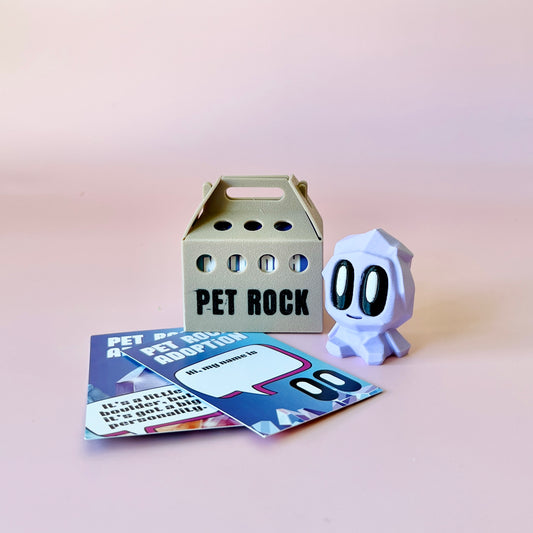 A whimsical pastel purple figure stands beside a light cardboard carrier labeled "PET ROCK" and colorful adoption cards.
